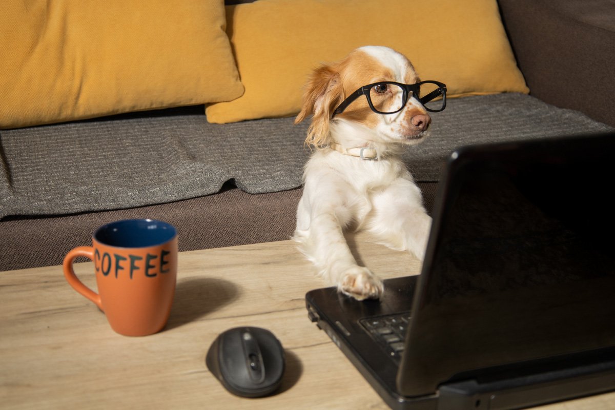 cute dog browsing the internet on his notebook with a cup of coffee next to him