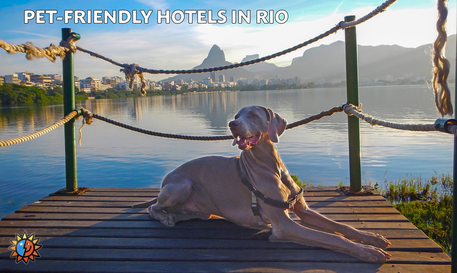 Rio loves pets, and pets love Rio! Enjoying the park around Lagoa.